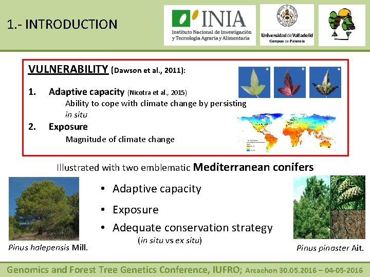 1. - INTRODUCTION VULNERABILITY (Dawson et al. , 2011): 1. Adaptive capacity (Nicotra et