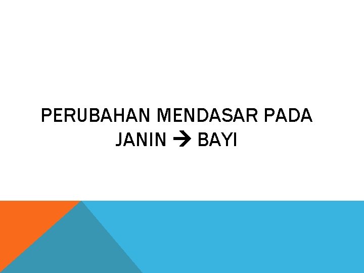 PERUBAHAN MENDASAR PADA JANIN BAYI 