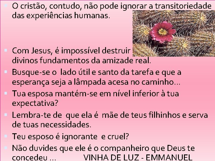  O cristão, contudo, não pode ignorar a transitoriedade das experiências humanas. Com Jesus,