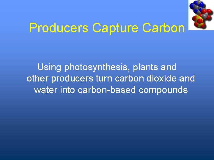 Producers Capture Carbon Using photosynthesis, plants and other producers turn carbon dioxide and water
