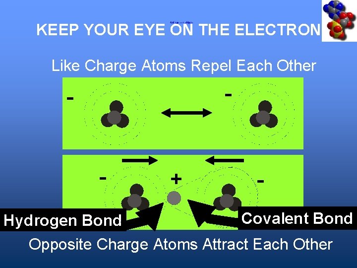 KEEP YOUR EYE ON THE ELECTRONS Hydrogen bond figure Like Charge Atoms Repel Each