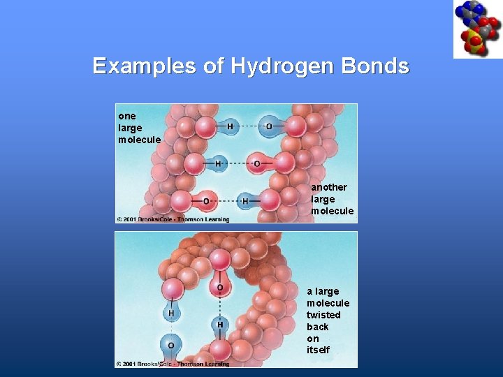 Examples of Hydrogen Bonds one large molecule another large molecule a large molecule twisted