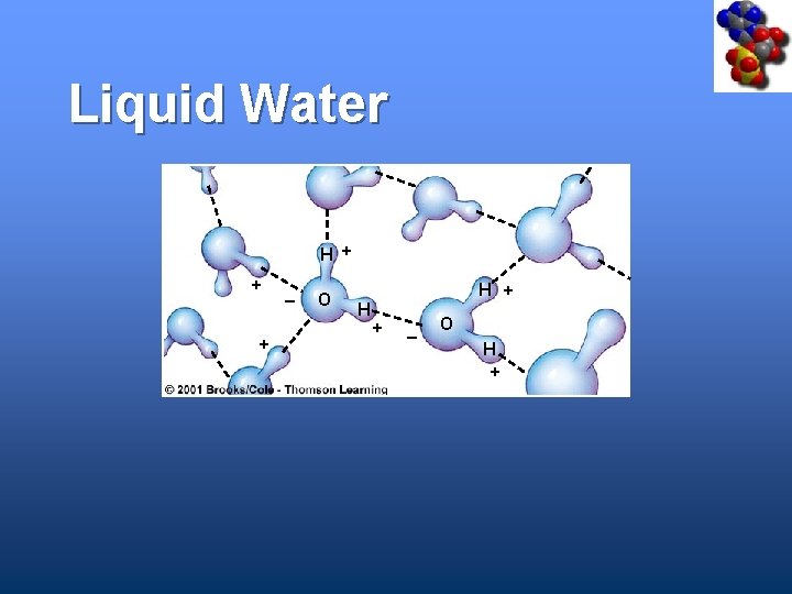 Liquid Water H + + + _ O H H + + _ O