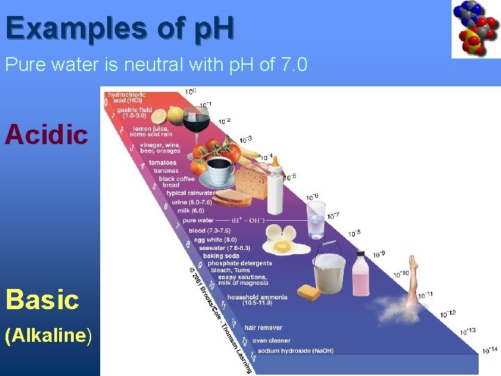 Examples of p. H Pure water is neutral with p. H of 7. 0