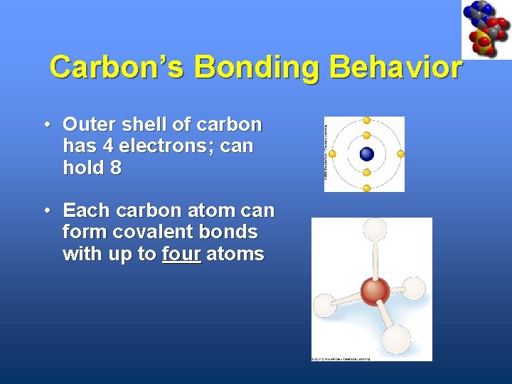 Carbon’s Bonding Behavior • Outer shell of carbon has 4 electrons; can hold 8