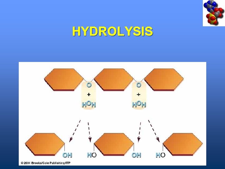 HYDROLYSIS 