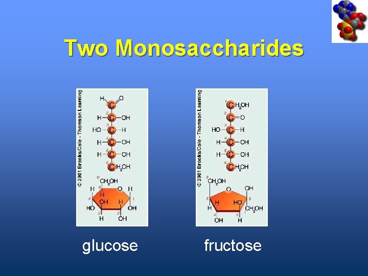 Two Monosaccharides glucose fructose 