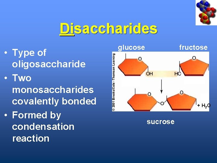 Disaccharides • Type of oligosaccharide • Two monosaccharides covalently bonded • Formed by condensation