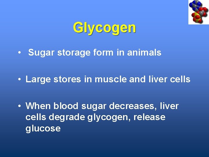 Glycogen • Sugar storage form in animals • Large stores in muscle and liver