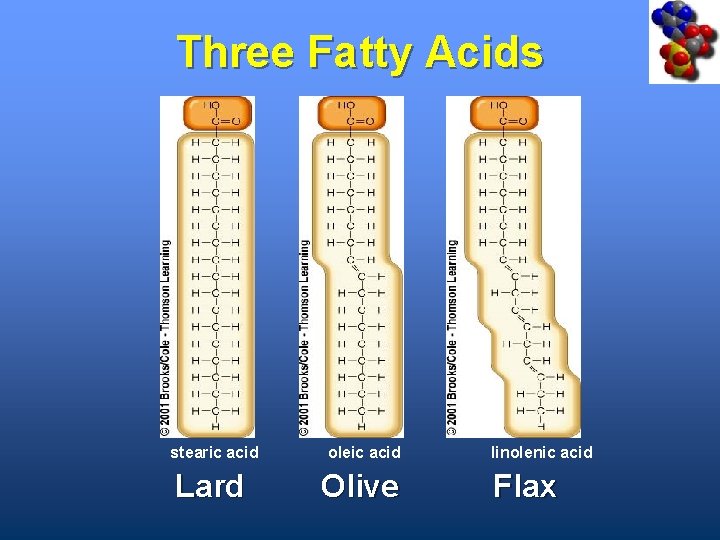 Three Fatty Acids stearic acid oleic acid Lard Olive linolenic acid Flax 