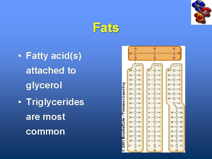 Fats • Fatty acid(s) attached to glycerol • Triglycerides are most common 