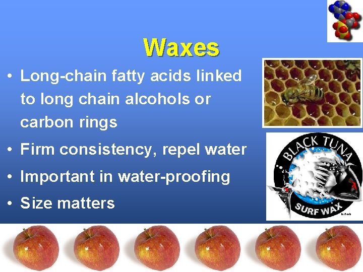 Waxes • Long-chain fatty acids linked to long chain alcohols or carbon rings •