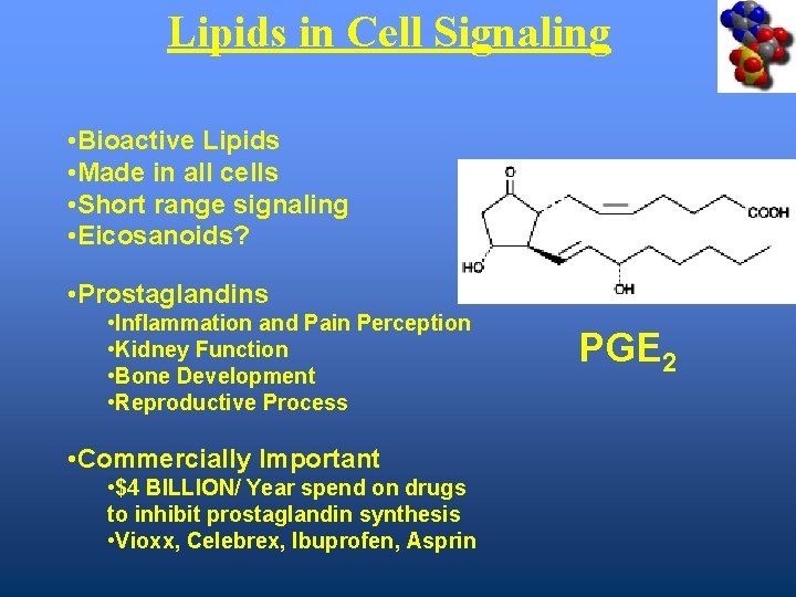 Lipids in Cell Signaling • Bioactive Lipids • Made in all cells • Short