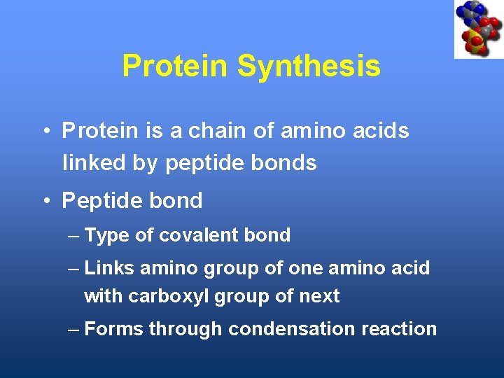Protein Synthesis • Protein is a chain of amino acids linked by peptide bonds