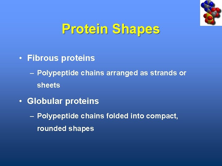 Protein Shapes • Fibrous proteins – Polypeptide chains arranged as strands or sheets •
