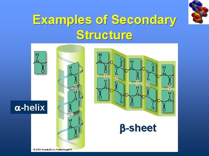 Examples of Secondary Structure a-helix b-sheet 