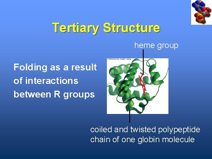 Tertiary Structure heme group Folding as a result of interactions between R groups coiled