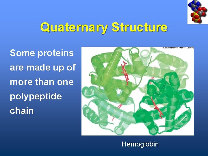 Quaternary Structure Some proteins are made up of more than one polypeptide chain Hemoglobin