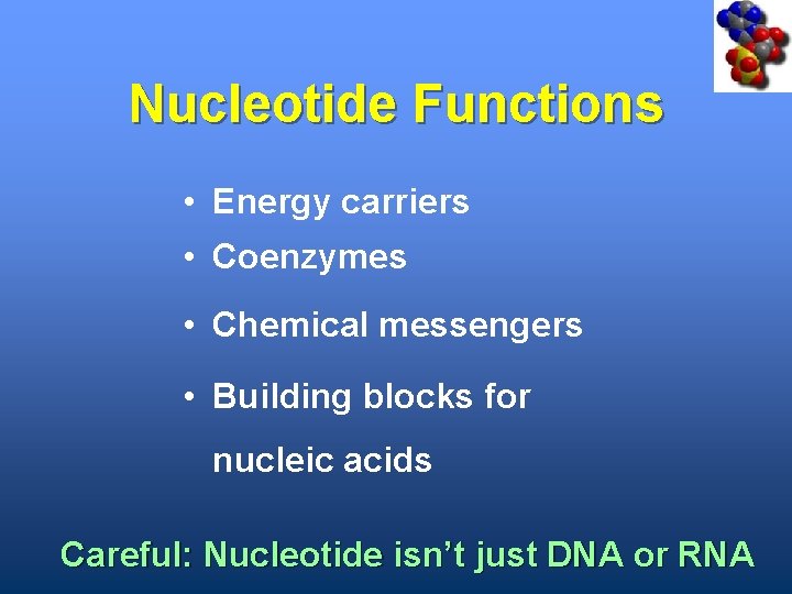 Nucleotide Functions • Energy carriers • Coenzymes • Chemical messengers • Building blocks for