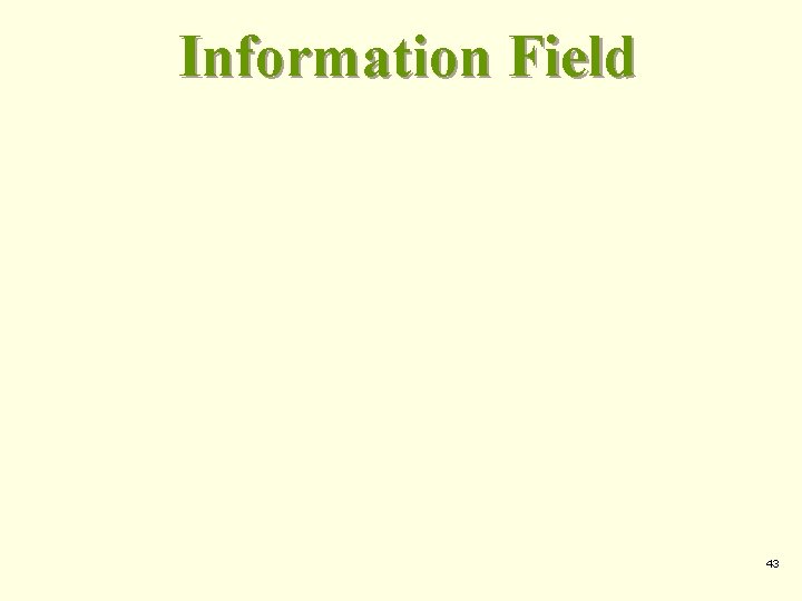 Information Field 43 