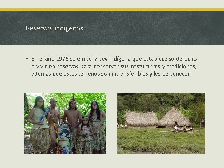 Reservas indígenas § En el año 1976 se emite la Ley Indígena que establece