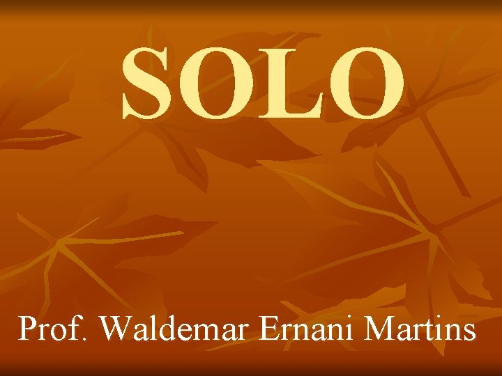 SOLO Prof. Waldemar Ernani Martins 