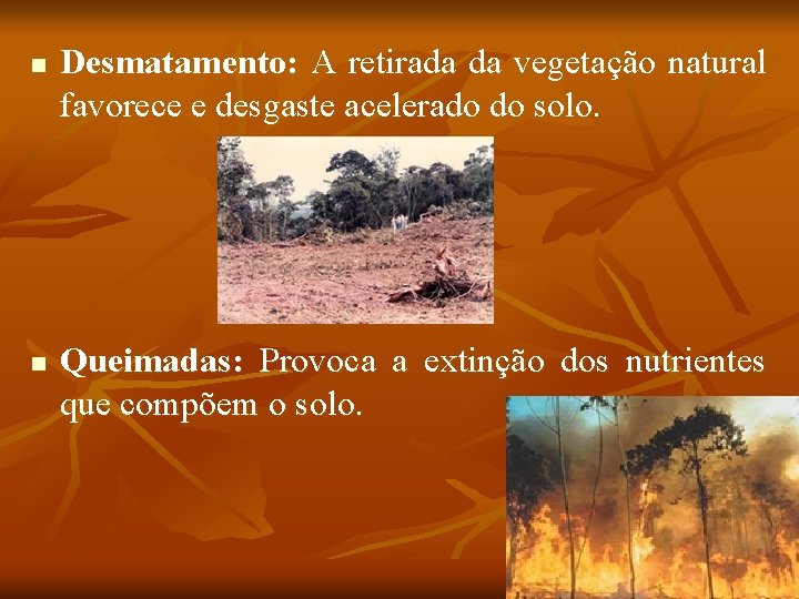 n n Desmatamento: A retirada da vegetação natural favorece e desgaste acelerado do solo.