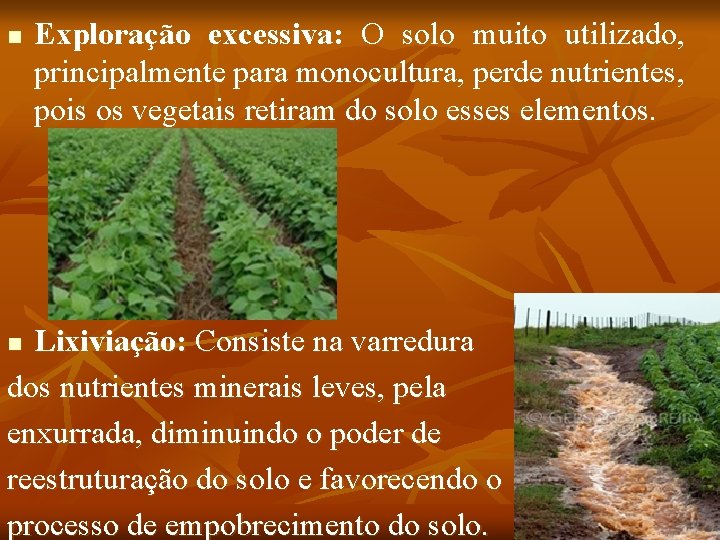 n Exploração excessiva: O solo muito utilizado, principalmente para monocultura, perde nutrientes, pois os