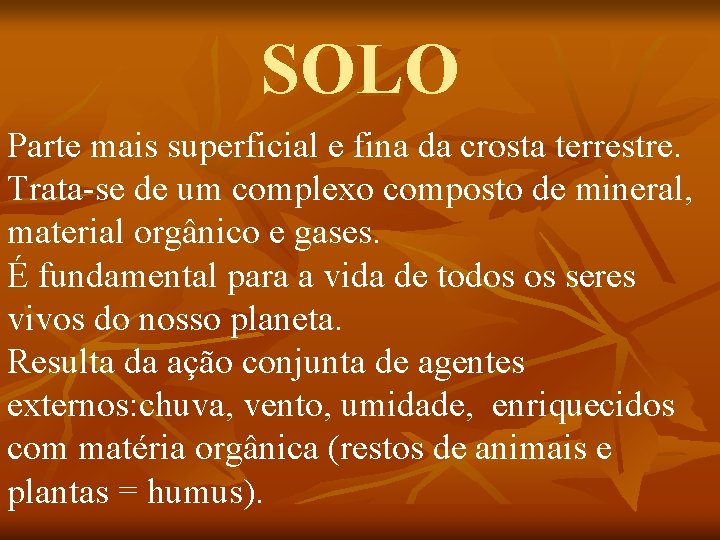 SOLO Parte mais superficial e fina da crosta terrestre. Trata-se de um complexo composto