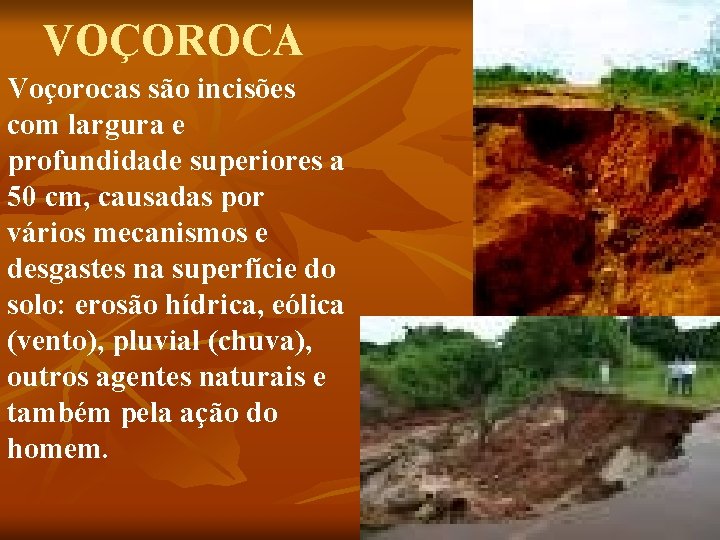 VOÇOROCA Voçorocas são incisões com largura e profundidade superiores a 50 cm, causadas por