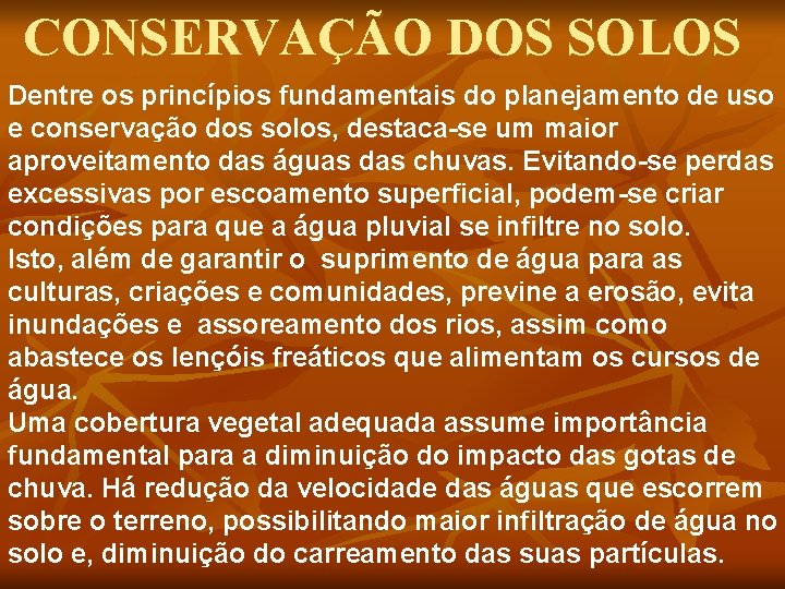 CONSERVAÇÃO DOS SOLOS Dentre os princípios fundamentais do planejamento de uso e conservação dos