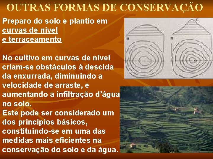 OUTRAS FORMAS DE CONSERVAÇÃO Preparo do solo e plantio em curvas de nível e