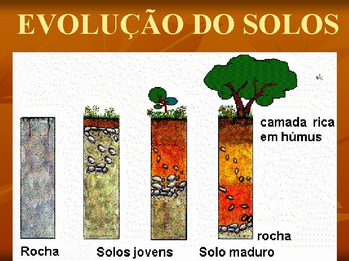 EVOLUÇÃO DO SOLOS 