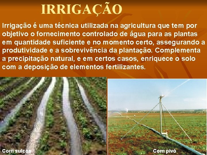 IRRIGAÇÃO Irrigação é uma técnica utilizada na agricultura que tem por objetivo o fornecimento