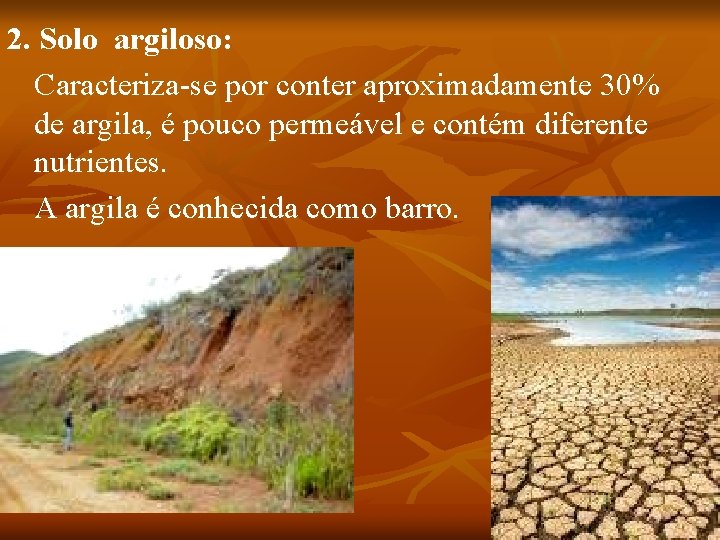 2. Solo argiloso: Caracteriza-se por conter aproximadamente 30% de argila, é pouco permeável e