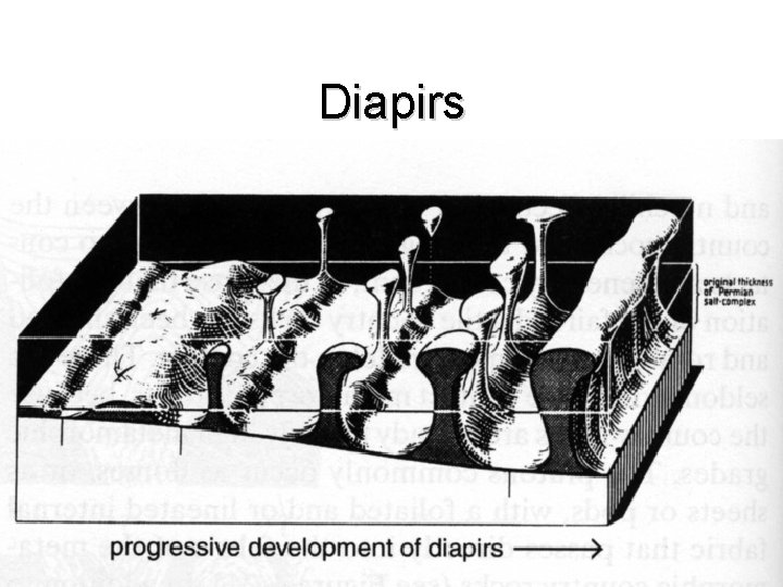 Diapirs 