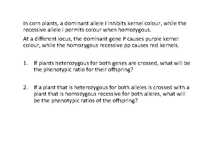 In corn plants, a dominant allele I inhibits kernel colour, while the recessive allele