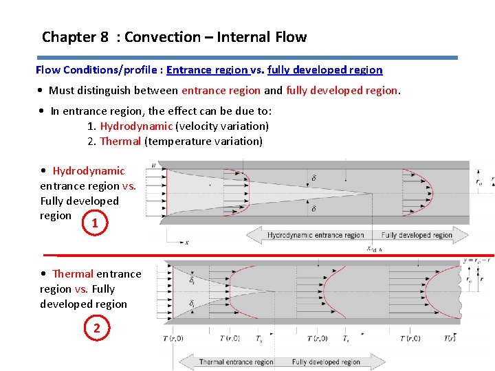 Chapter 8 : Convection – Internal Flow Conditions/profile : Entrance region vs. fully developed