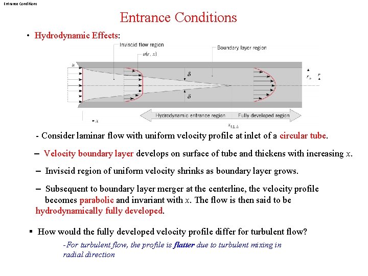 Entrance Conditions • Hydrodynamic Effects: - Consider laminar flow with uniform velocity profile at