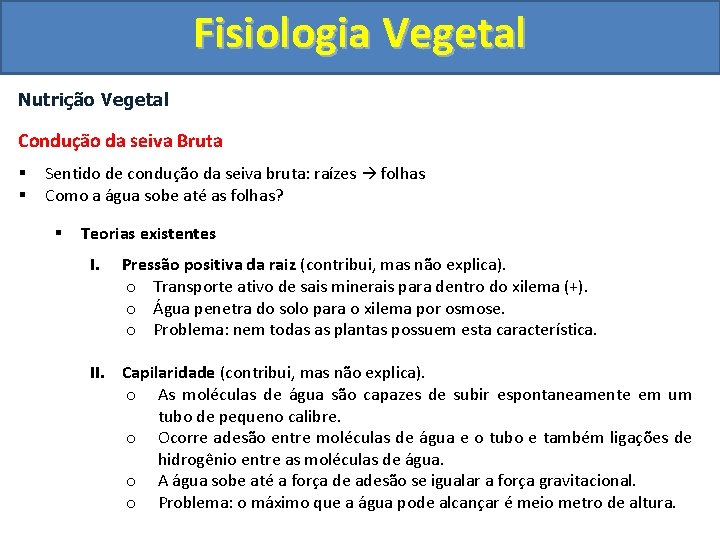 Fisiologia Vegetal Nutrição Vegetal Condução da seiva Bruta § § Sentido de condução da