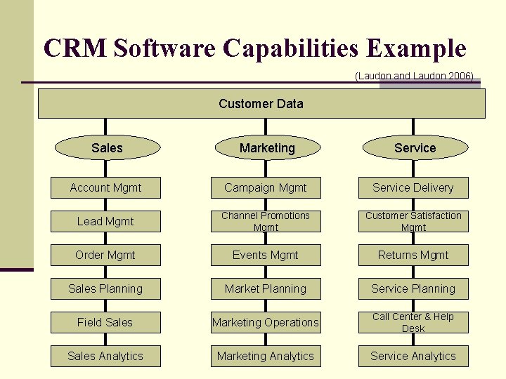 CRM Software Capabilities Example (Laudon and Laudon 2006) Customer Data Sales Marketing Service Account