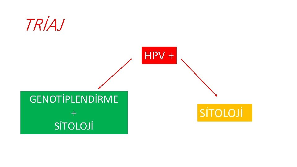 TRİAJ HPV + GENOTİPLENDİRME + SİTOLOJİ 