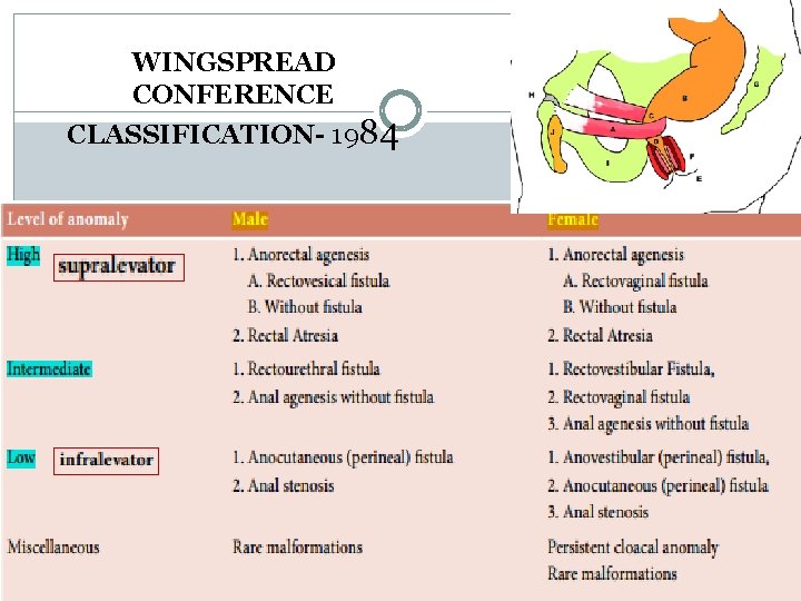 WINGSPREAD CONFERENCE CLASSIFICATION- 1984 WINGSPREAD CONFERENCE CLASSIFICATION- 1984
