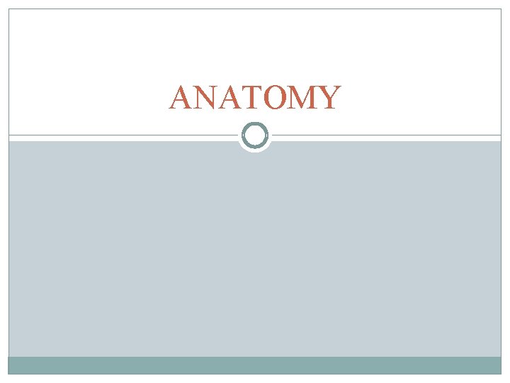 ANATOMY ANATOMY