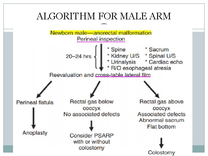 ALGORITHM FOR MALE ARM ALGORITHM FOR MALE ARM