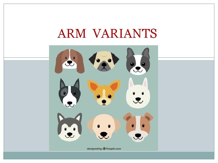 ARM VARIANTS ARM VARIANTS