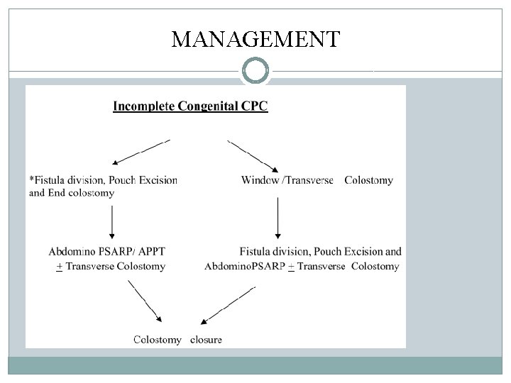 MANAGEMENT MANAGEMENT