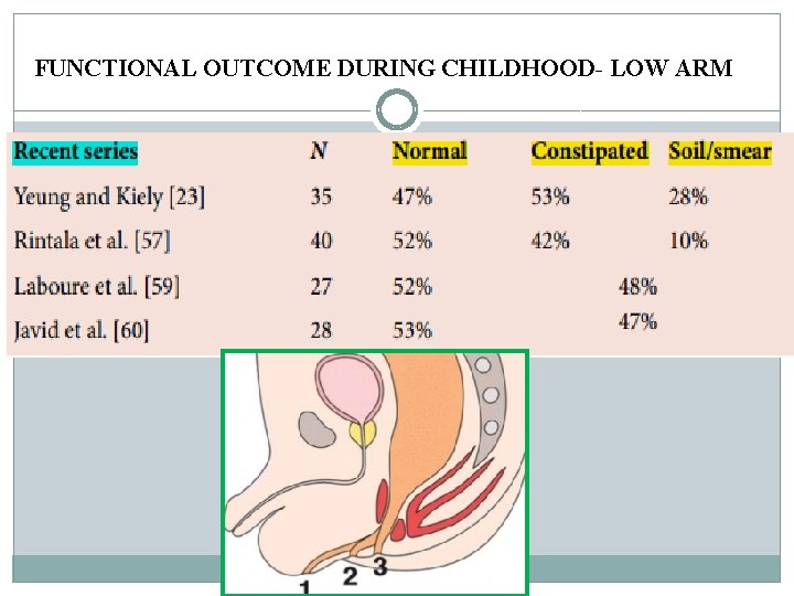 FUNCTIONAL OUTCOME DURING CHILDHOOD- LOW ARM FUNCTIONAL OUTCOME DURING CHILDHOOD- LOW ARM