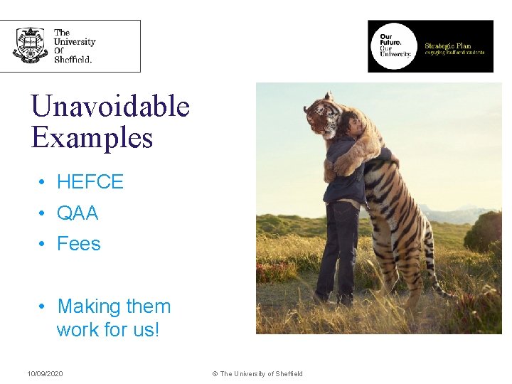 Unavoidable Examples • HEFCE • QAA • Fees • Making them work for us!