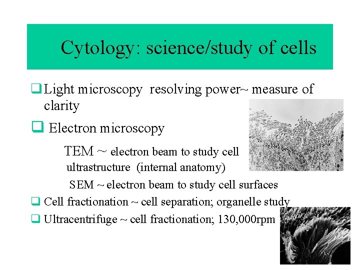 q. Cytology: science/study of cells q Light microscopy resolving power~ measure of clarity q
